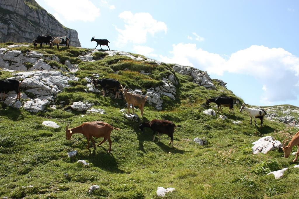 Hotel Alp Bovec Luaran gambar